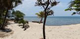 Placencia Real Estate - Plantation Lot 73-6