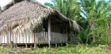 50 Acres of Land 6 - Belize Real Estate