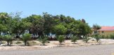 Placencia Real Estate - Plantation Lot 73