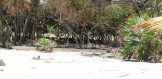 Placencia Real Estate - Plantation Lot 73-2