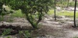 9 Acres Airstrip 6 - Placencia Real Estate