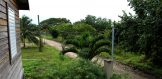 Pine-Built Home Outside View - Belize Real Estate